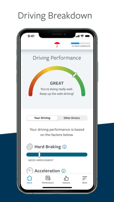 Travelers IntelliDrive® screenshot 1