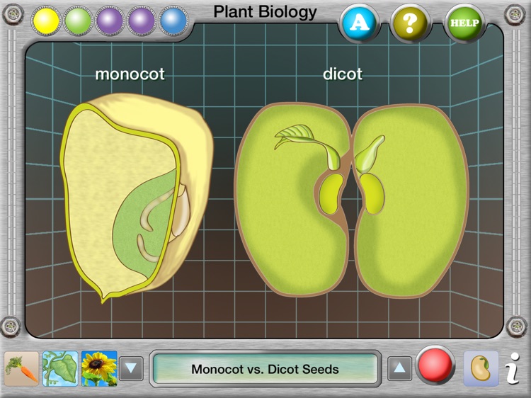 Plant Biology Explorer screenshot-4
