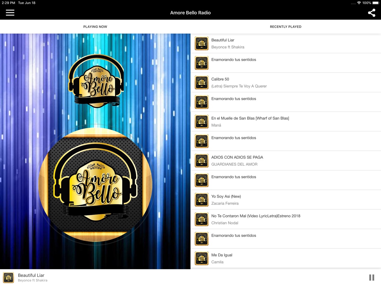 iPad screenshot