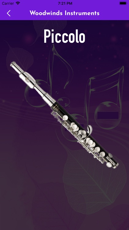 Kidz learn musical instruments screenshot-8