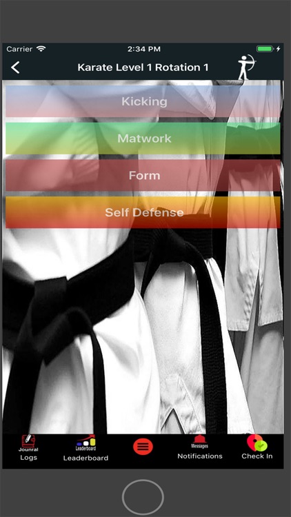 A.J. Bartlinski's Karate