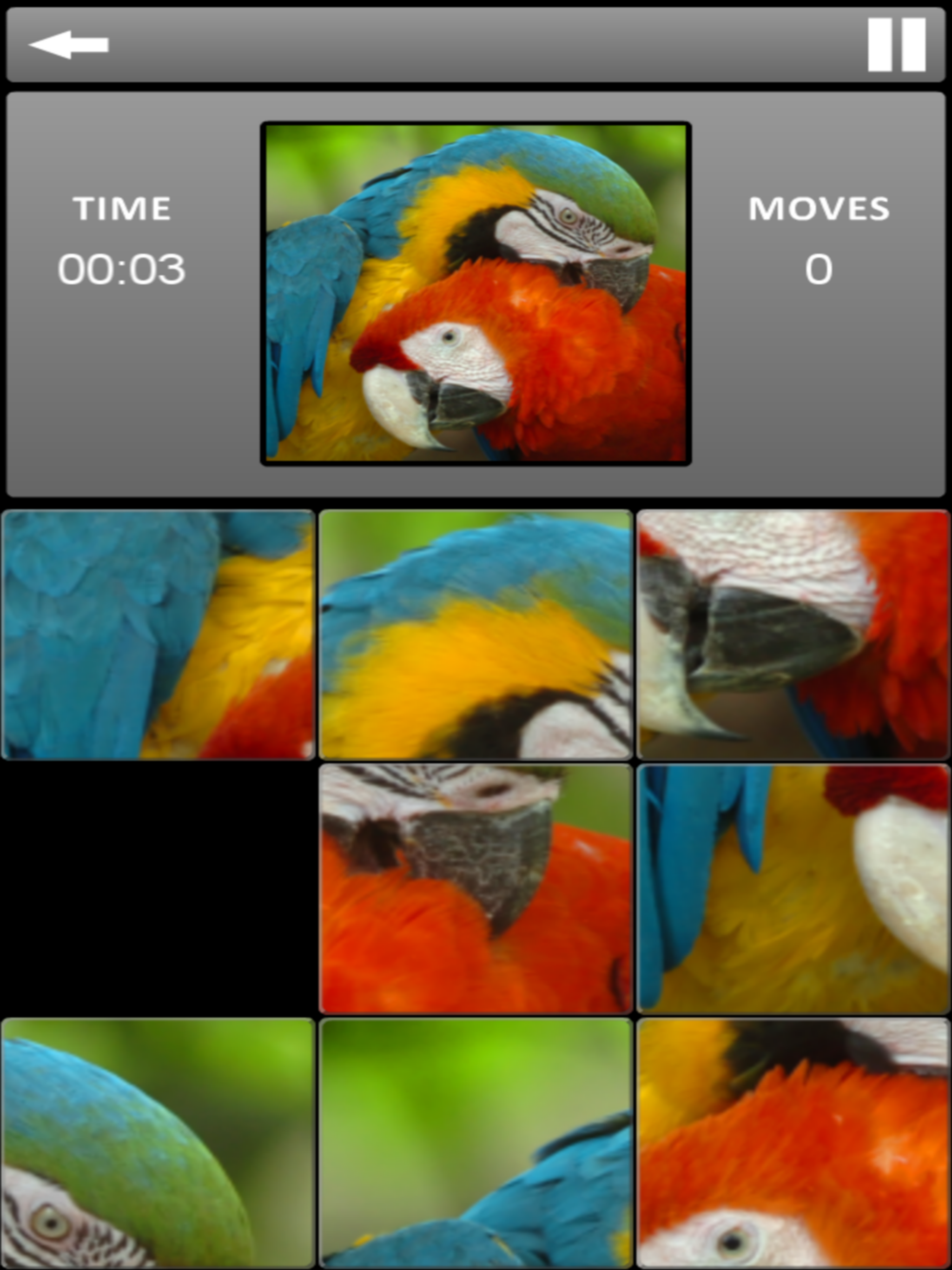Slide Puzzle: World