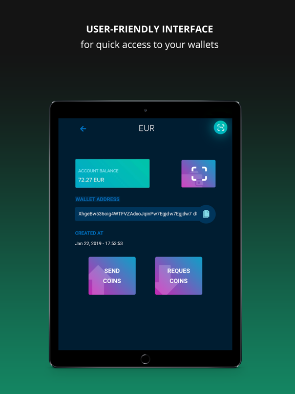 Omnipay Crypto/Fiat Wallet iPad screenshot