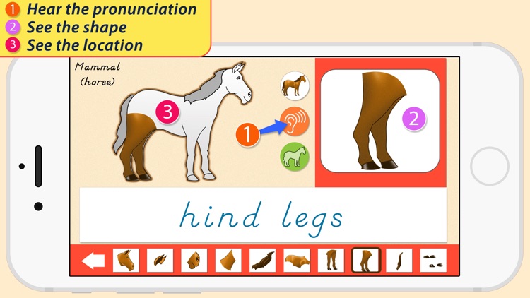 Parts Of Animals - Vertebrates screenshot-3