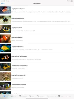 Reeflex.net screenshot 6