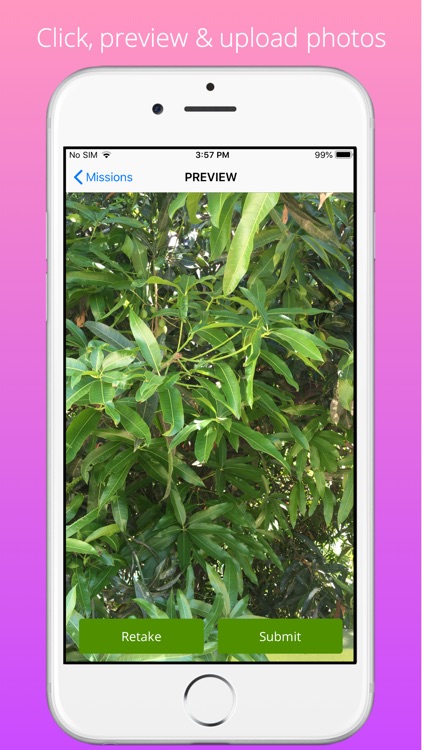 GCC Corona Monitoring screenshot-3