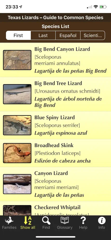 Texas Lizards