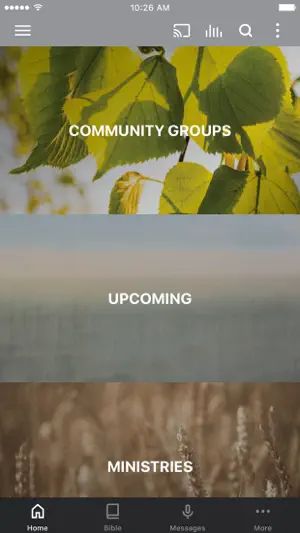 Bayou City Tomball screenshot 1