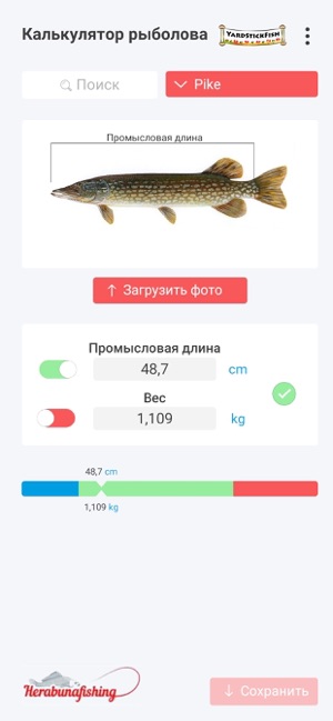 Yardstick Fish(圖3)-速報App