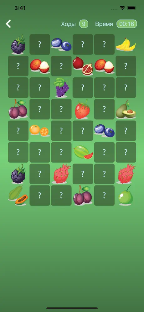 Fruit and Match