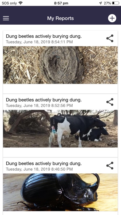 MyDungBeetle Reporter