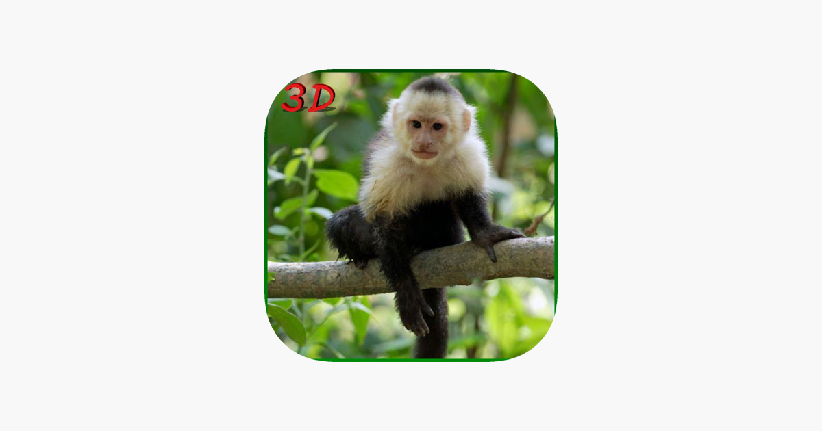 Banana do Macaco::Appstore for Android