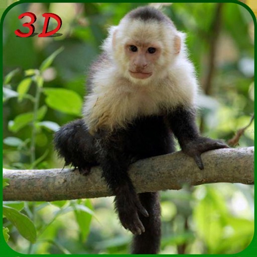 Monkey Simulator - Wild Life iOS App