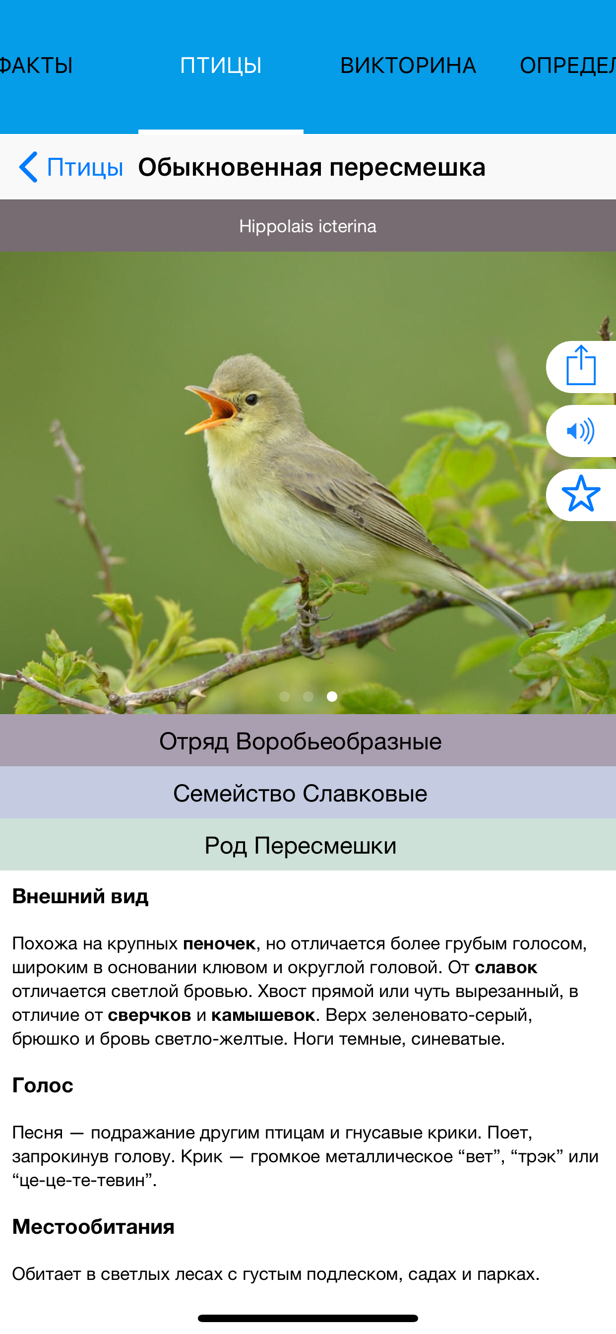 Экогид - Птицы