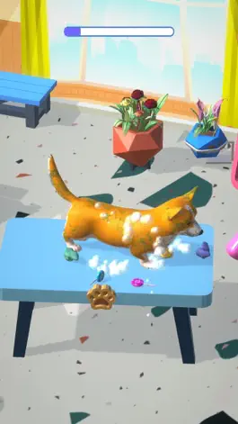 Game screenshot Zoosalon 3D apk