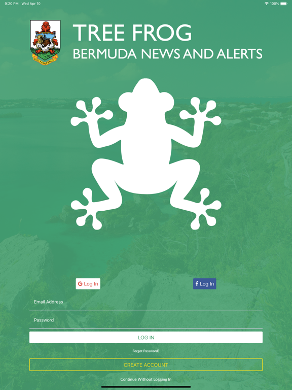 Bermuda Tree Frog
