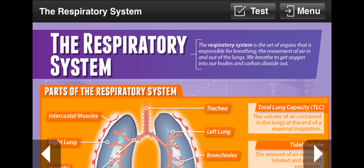 Physical Education GCSE screenshot 7