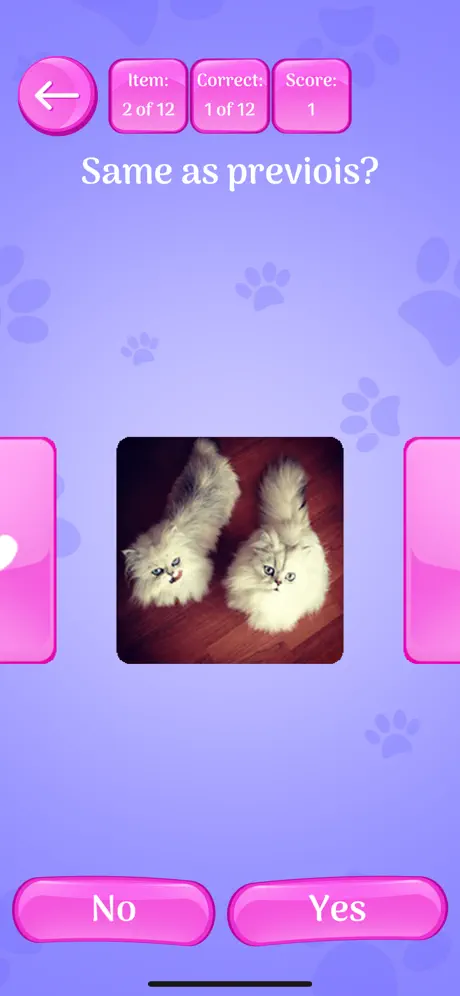 Cute Cats Memory Match Game