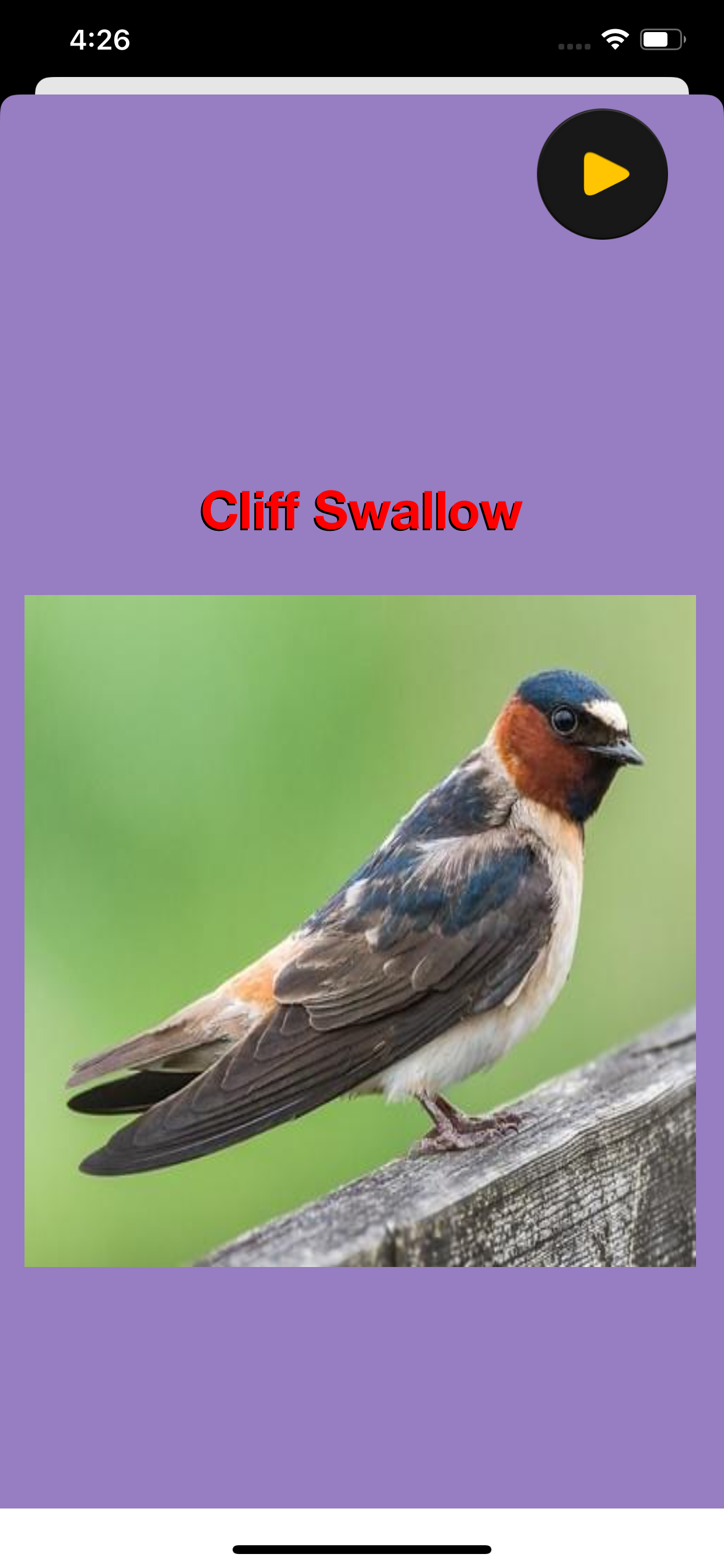 Birds of North America