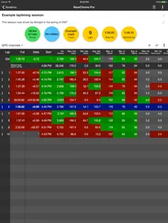 RaceChrono Pro iPad image 2