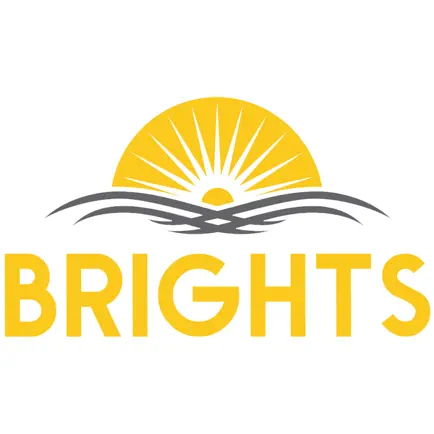 Brights School Читы