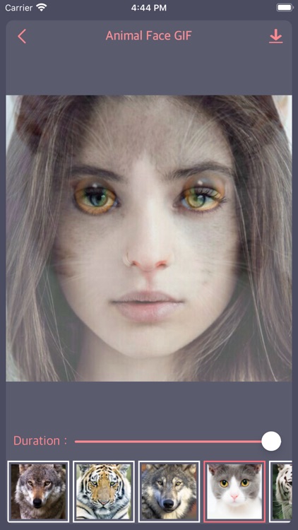 Animal Face Animation screenshot-3