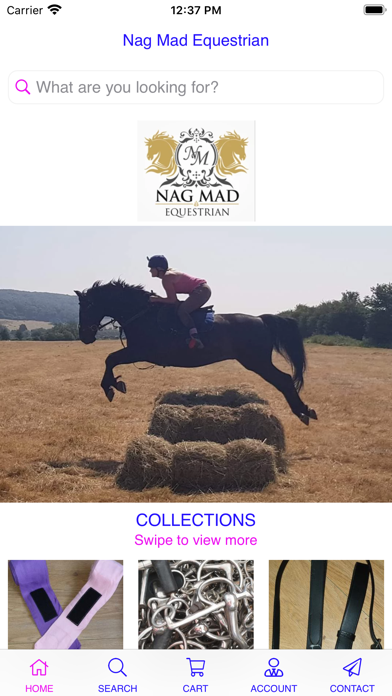 Screenshot #1 pour Nag Mad Equestrian