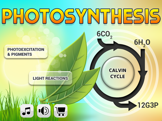 Screenshot #4 pour Biology Photosynthesis Pro