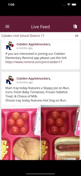 Game screenshot Cobden Unit School District 17 hack