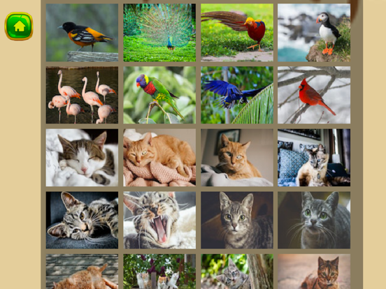 Magic Puzzle Animal iPad screenshot