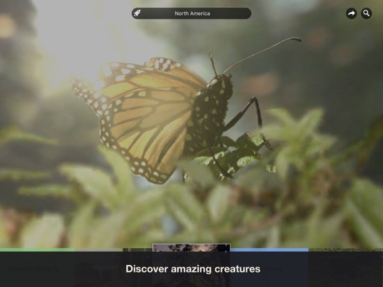 Brian Cox's Wonders of Life iPad app afbeelding 2