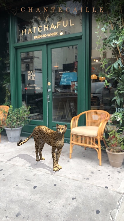 Chantecaille Wild Beauty screenshot-4