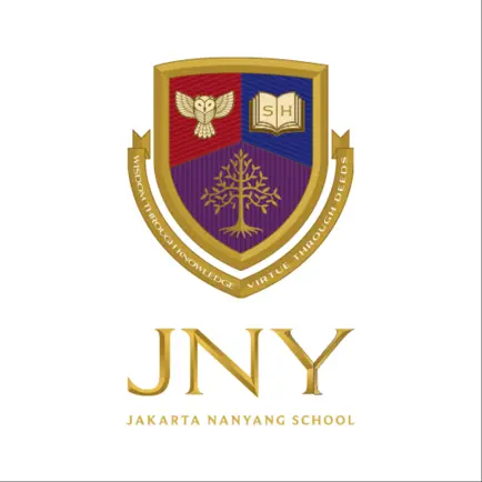 JNY School Читы