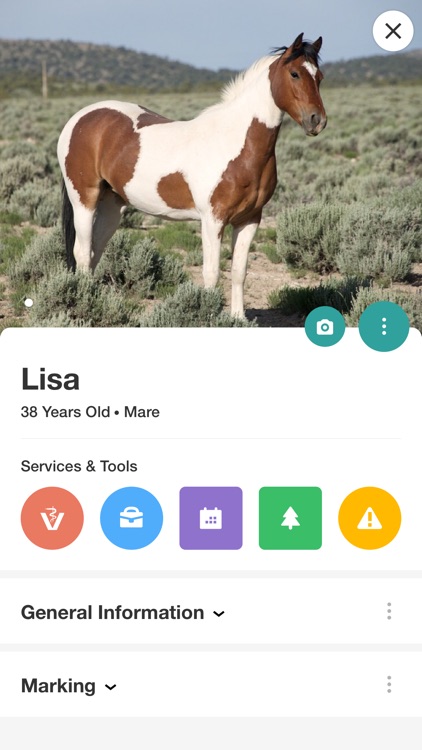 AnyPetz by VetFinder24