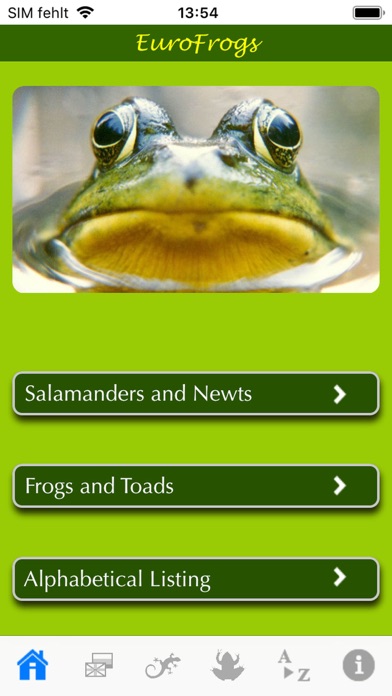 EuroFrogs Screenshot