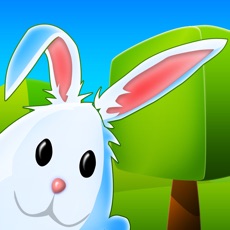 Activities of Bunny Maze 3D