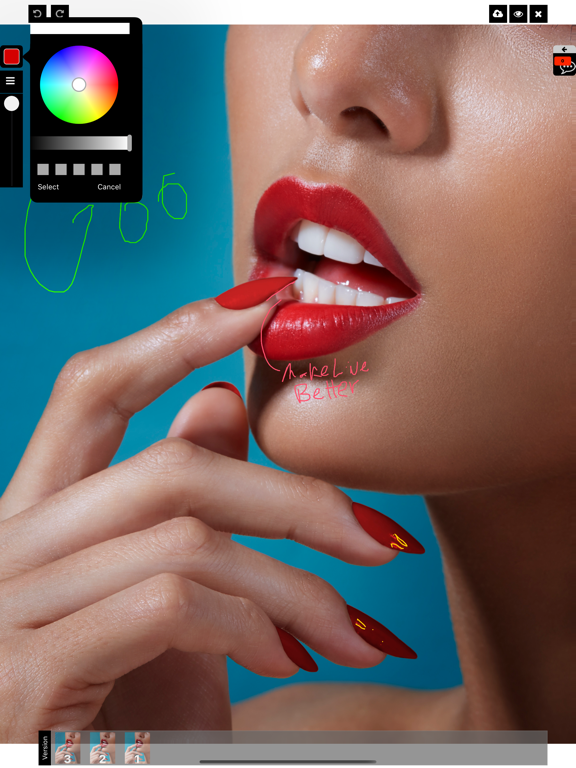 Screenshot #4 pour Bitfire Annotation