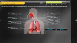 Game screenshot Human Anatomy for iPhone hack