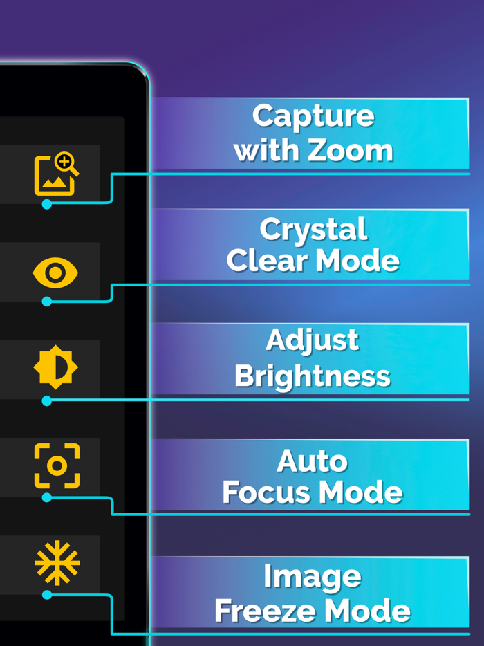 Magnifying Glass  Flashlight