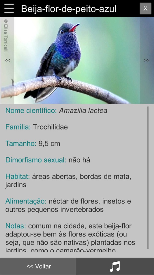 Guia Aves da Região Bragantina - 1.50 - (iOS)