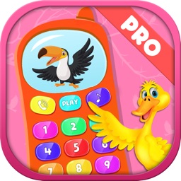 Boys Phone Birds Game Pro