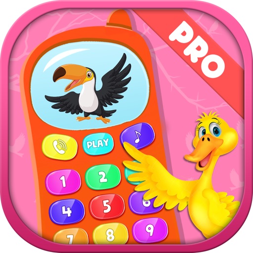 Boys Phone Birds Game Pro