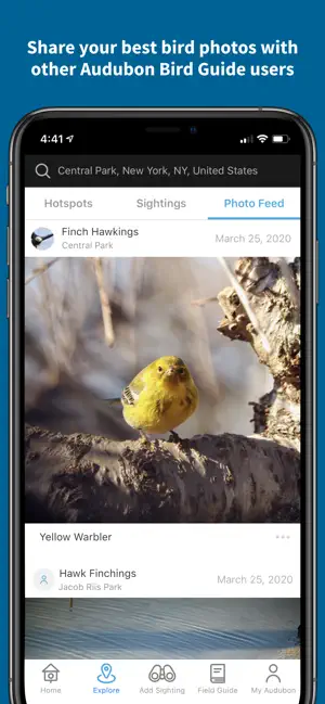 Screenshot 5 Audubon Bird Guide iphone