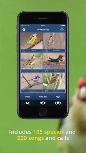 Bird Song Id UK iPhone-skjermbilde 4