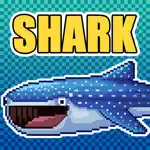 Shark - Grow with a tap App Problems