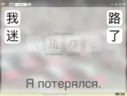 travel китайский язык айпад изображения 1
