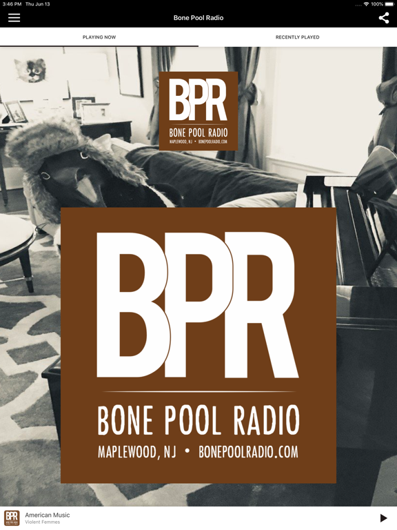 Screenshot #4 pour Bone Pool Radio