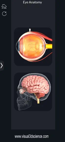 Game screenshot My Eye Anatomy apk