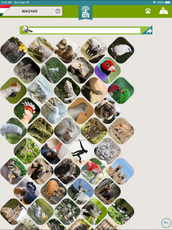 Screenshot #5 pour SÓSTÓ ZOO