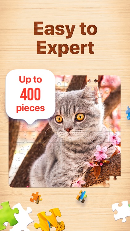 Jigsaw Puzzles - Puzzle Games